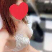 ヒメ日記 2025/04/08 08:54 投稿 ミリア 桃李（とうり）