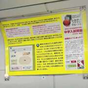 ヒメ日記 2025/04/15 16:34 投稿 ミリア 桃李（とうり）