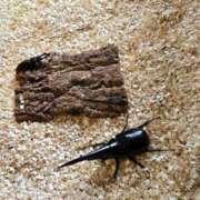 ユキ 冬❄️春❄️夏休み ヴィーナス(金津園)