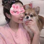 めろめろ 6月シフト🐷 ビギナーズ神戸