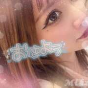 ヒメ日記 2025/03/15 21:06 投稿 みか 新潟デリヘル倶楽部