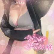 みか えろ全開 新潟デリヘル倶楽部