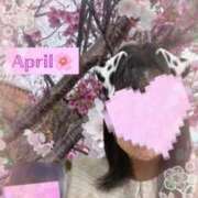 ヒメ日記 2025/04/03 07:56 投稿 上條まいこ 大阪ぽっちゃり妻 谷九店