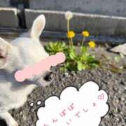 ヒメ日記 2025/04/26 13:40 投稿 華椿 ゆりあ Prae(プラエ)