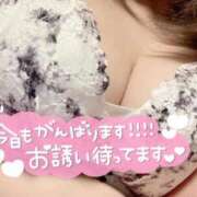 ヒメ日記 2025/11/04 08:13 投稿 あいり FROZEN(フローズン)