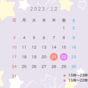 ヒメ日記 2023/12/19 22:09 投稿 ちい ワンダフル