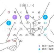 ヒメ日記 2024/03/31 15:58 投稿 ちい ワンダフル