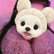 ヒメ日記 2025/02/24 13:05 投稿 ちゃちゃ 熟女家 ミナミエリア店