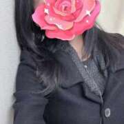 ヒメ日記 2026/03/18 09:05 投稿 ちゃちゃ 熟女家 ミナミエリア店