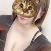 ヒメ日記 2025/02/05 15:22 投稿 TSUBASA TALL