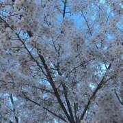 ヒメ日記 2025/04/02 12:10 投稿 ゆかり 出会い系人妻ネットワーク 新宿〜池袋編