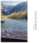 ヒメ日記 2024/12/25 22:29 投稿 あや 藤沢人妻城