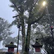 ヒメ日記 2024/12/31 13:56 投稿 あや 藤沢人妻城