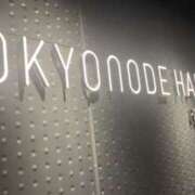 ヒメ日記 2025/01/26 09:23 投稿 あや 藤沢人妻城