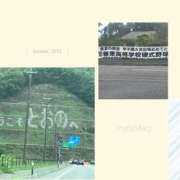 ヒメ日記 2025/03/26 02:14 投稿 あや 藤沢人妻城