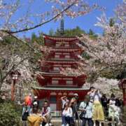 ヒメ日記 2025/04/09 03:44 投稿 あや 藤沢人妻城