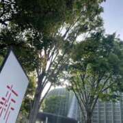 ヒメ日記 2025/04/25 23:34 投稿 あや 藤沢人妻城