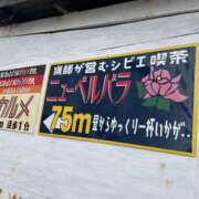 ヒメ日記 2025/12/12 04:46 投稿 あや 藤沢人妻城