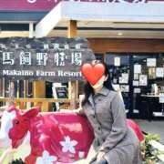 ヒメ日記 2026/04/11 07:13 投稿 あや 藤沢人妻城