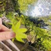 ヒメ日記 2026/05/08 02:18 投稿 あや 藤沢人妻城