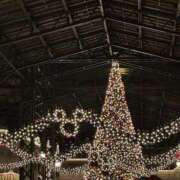 ヒメ日記 2025/11/30 05:03 投稿 せりか NEW GENERATION