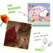 ヒメ日記 2025/04/02 20:12 投稿 ひとみ モアグループ川越人妻花壇