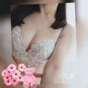 ヒメ日記 2025/06/08 09:48 投稿 ひとみ モアグループ川越人妻花壇