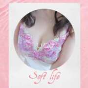 ヒメ日記 2025/07/21 10:17 投稿 ひとみ モアグループ川越人妻花壇