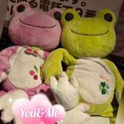 ヒメ日記 2025/09/08 08:20 投稿 ひとみ モアグループ川越人妻花壇