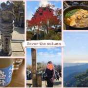 ヒメ日記 2025/11/17 13:28 投稿 ひとみ モアグループ川越人妻花壇