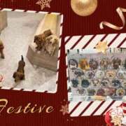 ヒメ日記 2025/12/09 08:58 投稿 ひとみ モアグループ川越人妻花壇