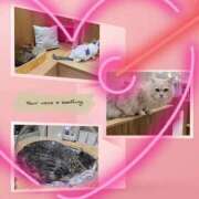 ヒメ日記 2026/01/17 13:08 投稿 ひとみ モアグループ川越人妻花壇