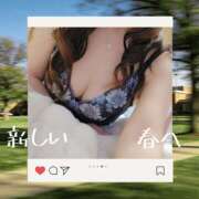 ヒメ日記 2026/03/10 20:37 投稿 ひとみ モアグループ川越人妻花壇