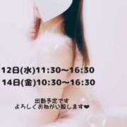 ヒメ日記 2025/03/05 20:20 投稿 夕月ななみ 五十路マダムエクスプレス船橋店(カサブランカグループ)