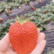 ヒメ日記 2025/03/09 19:46 投稿 夕月ななみ 五十路マダムエクスプレス船橋店(カサブランカグループ)