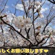 ヒメ日記 2025/04/06 19:28 投稿 夕月ななみ 五十路マダムエクスプレス船橋店(カサブランカグループ)