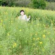 ヒメ日記 2025/04/30 08:02 投稿 夕月ななみ 五十路マダムエクスプレス船橋店(カサブランカグループ)