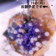 ヒメ日記 2025/05/08 16:56 投稿 夕月ななみ 五十路マダムエクスプレス船橋店(カサブランカグループ)