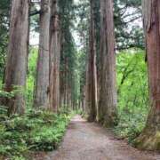ヒメ日記 2025/06/06 23:02 投稿 夕月ななみ 五十路マダムエクスプレス船橋店(カサブランカグループ)