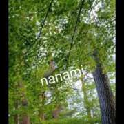 ヒメ日記 2025/06/19 20:34 投稿 夕月ななみ 五十路マダムエクスプレス船橋店(カサブランカグループ)