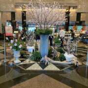 ヒメ日記 2026/03/29 09:54 投稿 夕月ななみ 五十路マダムエクスプレス船橋店(カサブランカグループ)