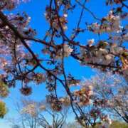 ヒメ日記 2026/04/03 08:54 投稿 夕月ななみ 五十路マダムエクスプレス船橋店(カサブランカグループ)