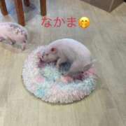 ヒメ日記 2026/07/10 07:30 投稿 夕月ななみ 五十路マダムエクスプレス船橋店(カサブランカグループ)