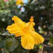 ヒメ日記 2025/01/15 10:10 投稿 ゆり エディーズ