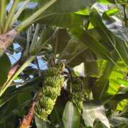 ヒメ日記 2025/01/17 08:36 投稿 ゆり エディーズ