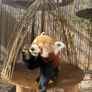 ヒメ日記 2025/01/25 10:10 投稿 ゆり エディーズ