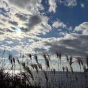 ヒメ日記 2025/01/26 10:20 投稿 ゆり エディーズ