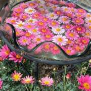 ヒメ日記 2025/03/22 20:14 投稿 ゆり エディーズ