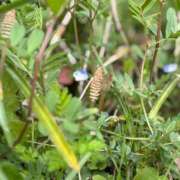 ヒメ日記 2025/04/17 11:56 投稿 ゆり エディーズ