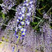 ヒメ日記 2025/05/01 12:46 投稿 ゆり エディーズ